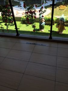 IMG_4638